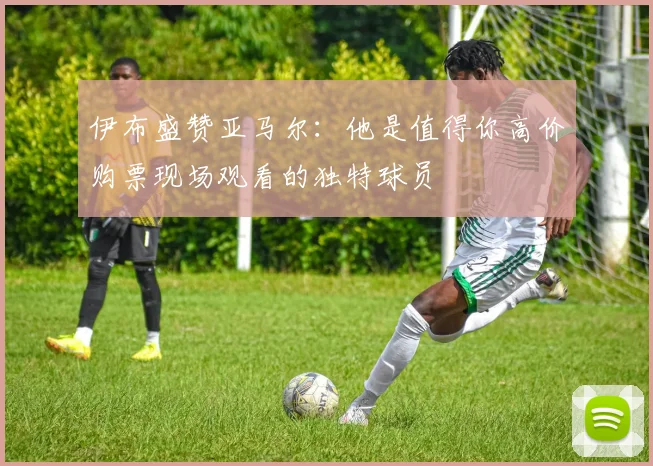 伊布盛赞亚马尔：他是值得你高价购票现场观看的独特球员